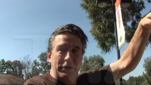 Read more about the article Billy Baldwin Tones Down Feud with Sharon Stone, Talks Would-Be Book