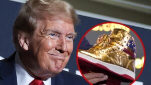 Read more about the article Trump Launches Sneaker Line Emblazoned with 'Never Surrender'