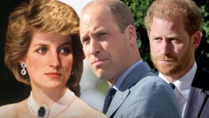 Read more about the article Prince William, Prince Harry Set to Stagger Diana Legacy Event Appearances