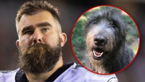 Read more about the article Jason Kelce's Beloved Dog, Winnie, Dies