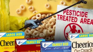 Read more about the article General Mills Hit With Lawsuit Claiming Cheerios Has Harmful Levels Of Pesticide