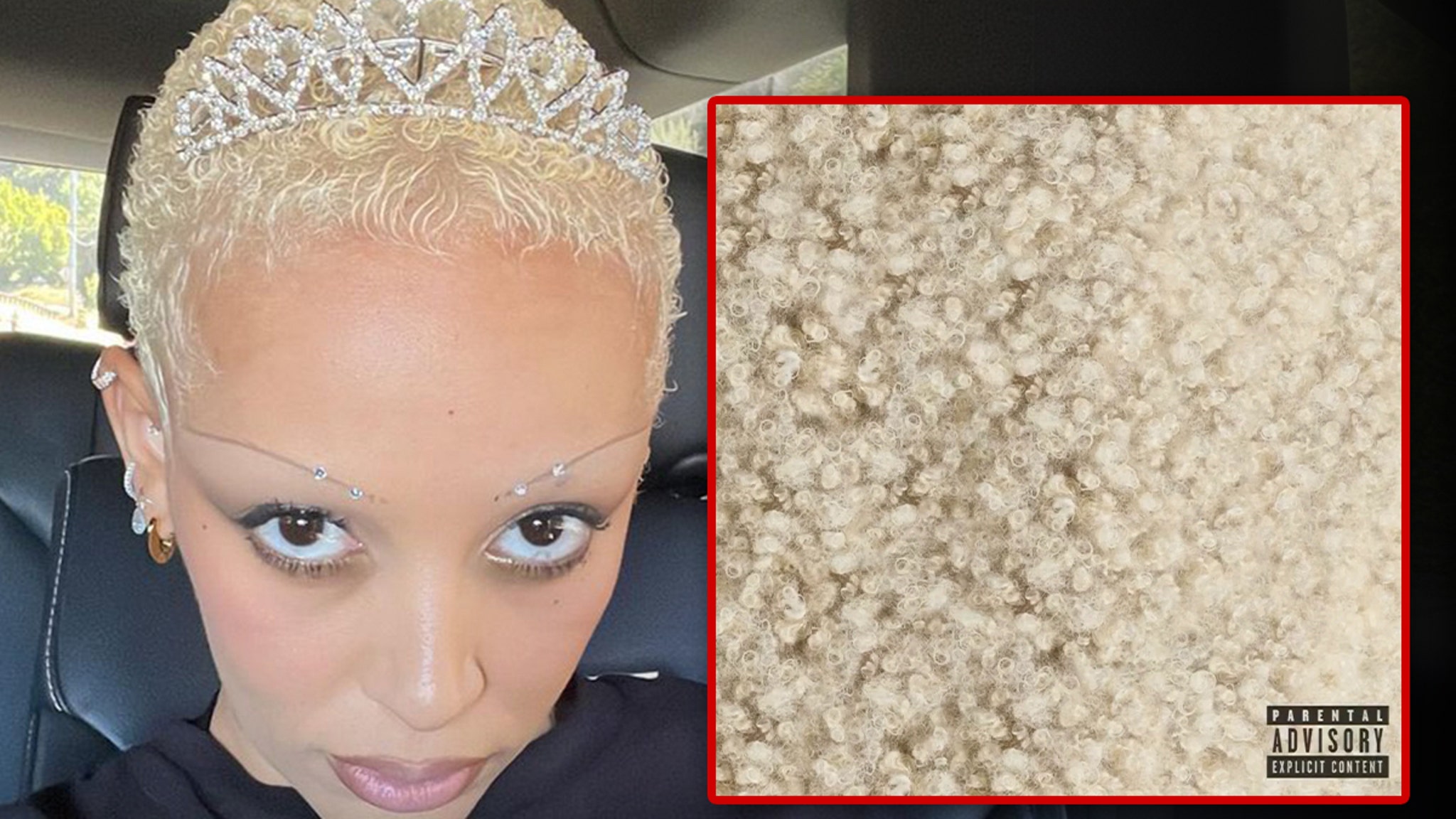 You are currently viewing Doja Cat Slams Fans for Comparing Her Hair to Pubes