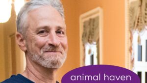 Read more about the article Jon Stewart Helps NYC Animal Shelter Raise $25K After Tearful Dog Tribute