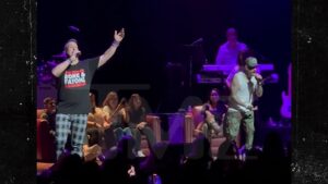 Read more about the article 'Jersey Shore's Angelina Serenaded Onstage by AJ McLean & Joey Fatone