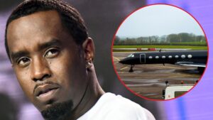 Read more about the article Diddy's Private Jet Tracked to Caribbean Island Amid Raids in U.S.