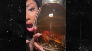 Read more about the article Megan Thee Stallion Drinks Booze From Snake-Filled Bottle In Japan