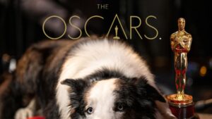 Read more about the article 'Anatomy of a Fall' Dog Cameo at Luncheon Pissed Off Oscar Contenders